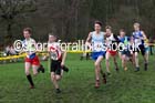 Boys under-15 Northern Cross Country Champs., Witton Park, Blackburn. Photo: David T. Hewitson/Sports for All Pics